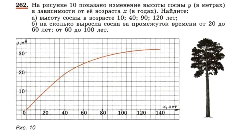 На рисунке 10 показано изменение высоты. Высота сосны. Высота сосны в зависимости от возраста. Высота сосны по годам. Сколько сосна в высоту.