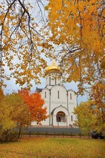 Реутово покров