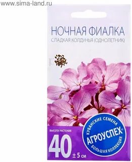Ночная фиалка семена