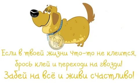 Твоя ж
