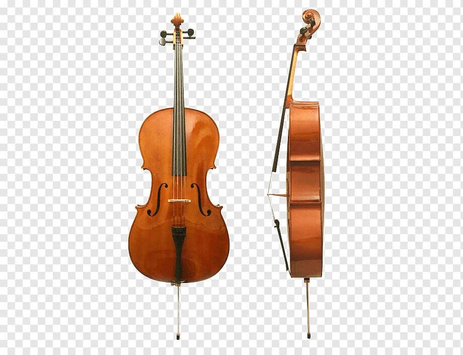 Музыка контрабас и скрипка. Виолончель это струнно смычковый инструмент. Струнные смычковые инструменты Альт. Альт струнные смычковые музыкальные инструменты Альтисты. Струнно смычковые инструменты контрабас.
