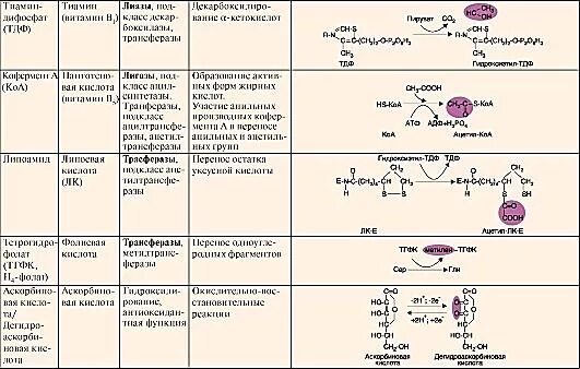 Ферменты коферменты витамины. Витамины коферменты биохимия таблица. Структура кофермента витамина а биохимия. Коферменты витаминов в2 в5. Функции коферментов биохимия.