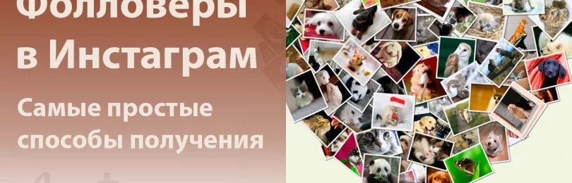 Фолловеры. Инстаграм фолловеры. кто такие фолловеры. для чего нужны фолловеры. фолловеры это кто простыми словами.