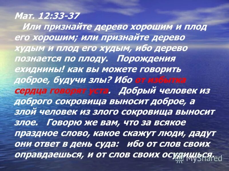 Предложения с ибо. Порождения ехиднины Библия. По плодам их узнаете Библия. По плодам их узнаете. По плодам их узнаете их.