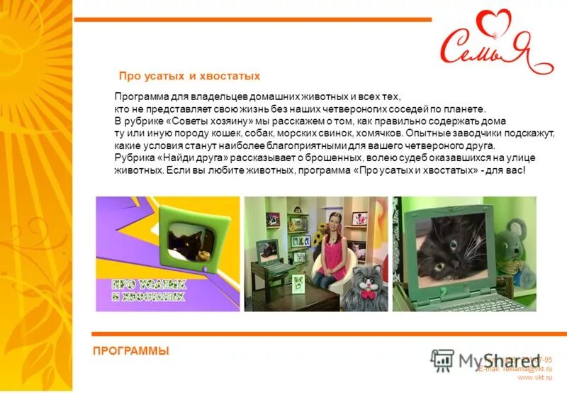 495 651. Mail.ru reklama.