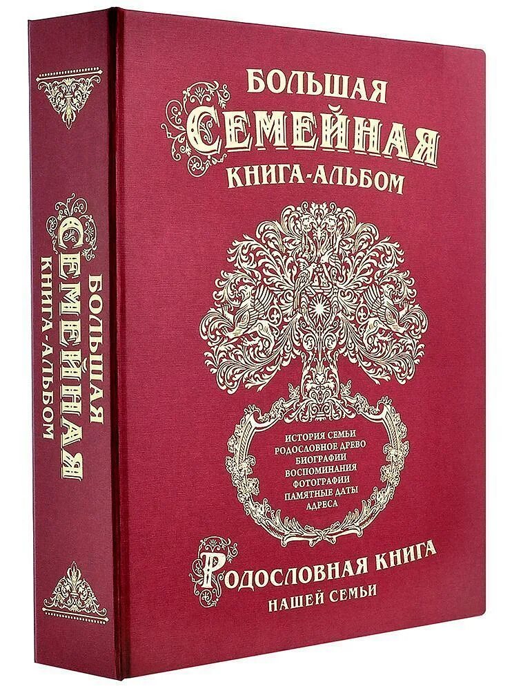 Книга история семьи. Большая семейная книга. большая семейная книга альбом. большая семейная книга альбом родословное. большая семья книга.