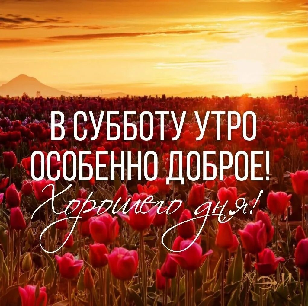 Суббота чудесного утра. Доброе утро субботы. Доброе субботнее утро. Открытки с добрым утром субботы. Сдобрыс субботним утром.