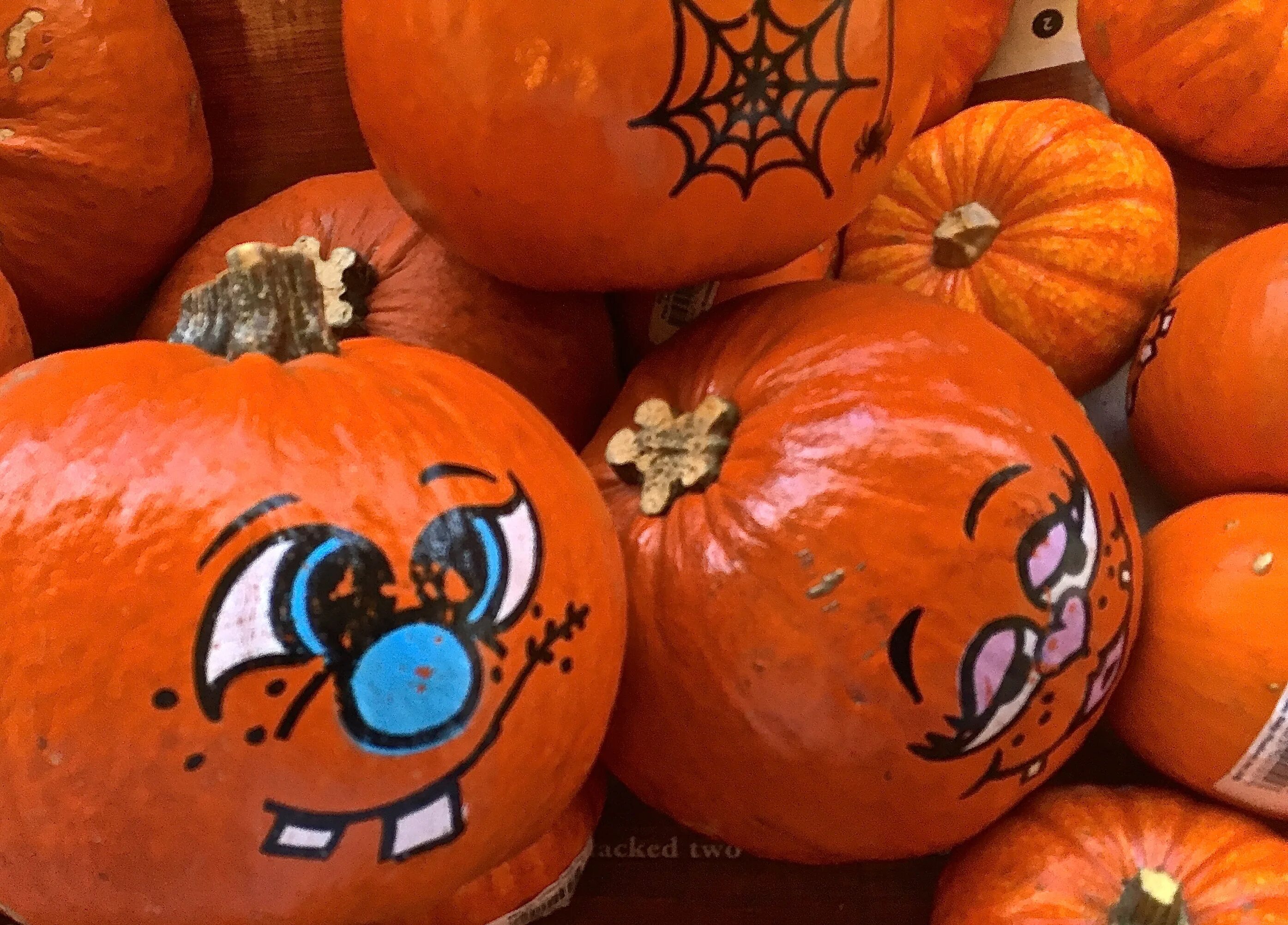 Хэллоуин. Хэллоуин. Тыква королева осени. Осень тыквы. Тыквенник праздник.