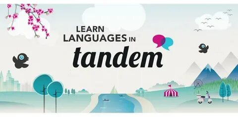 Learn chat