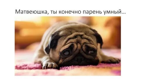Причины плохого настроения
