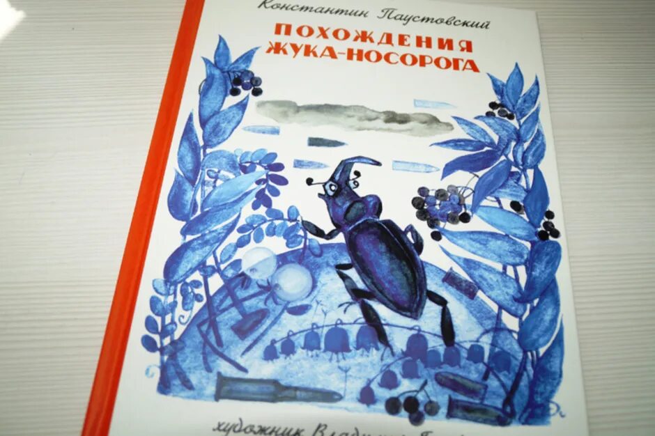 Произведение похождение жука носорога. К Г Паустовский похождения жука-носорога. Иллюстрация к сказке похождение жука носорога Паустовский. Жук носорог Паустовский.