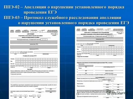 В заседании апелляционной инстанции протокол