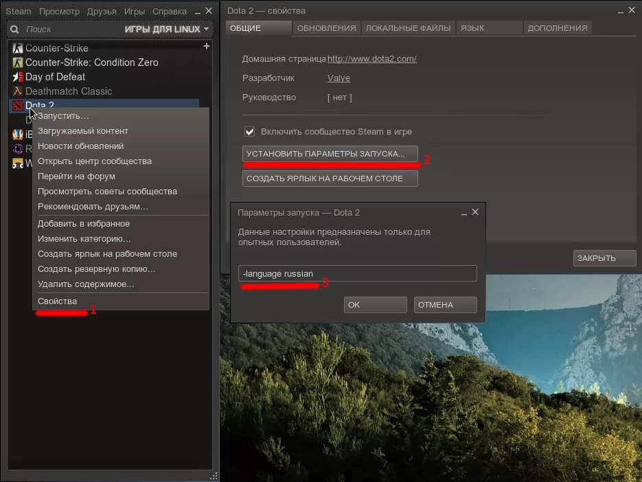 Нужно русский установить. Как изменить язык в доте 2. Как изменить язык в доте 2 на русский. Как поставить русский язык в доте. Смена языка в доте.