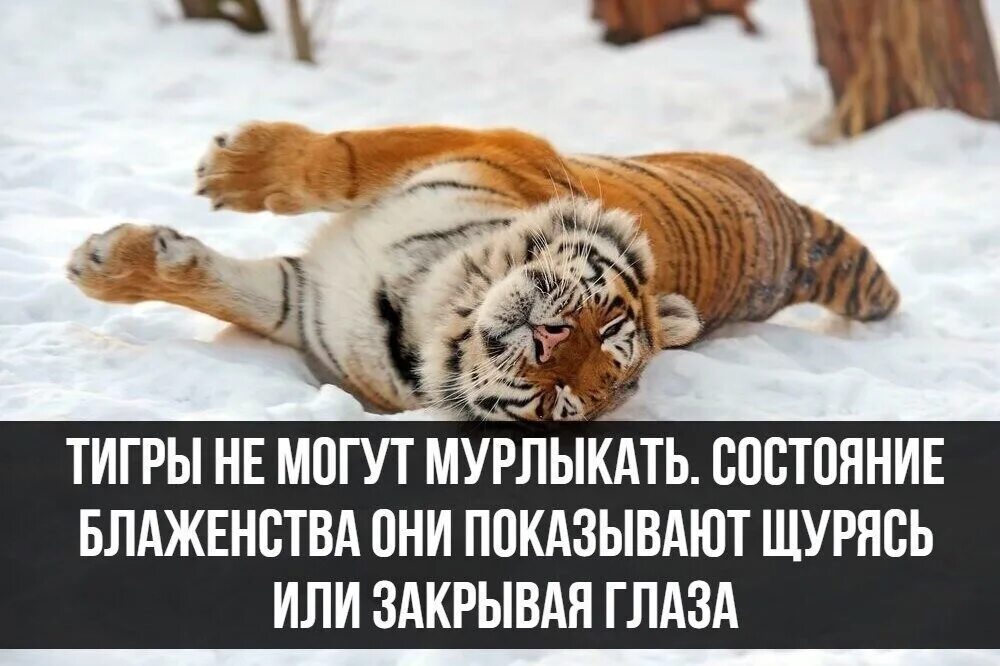 Следующий год будет лучше предыдущего