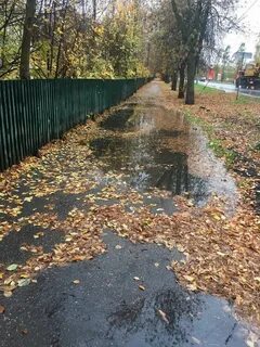 Тротуар дождь