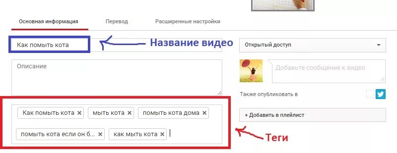 Что такое добавить тег. Теги для ютуба. Популярные Теги для ютуба. Как добавлять Теги в ютубе. Как добавить Теги.