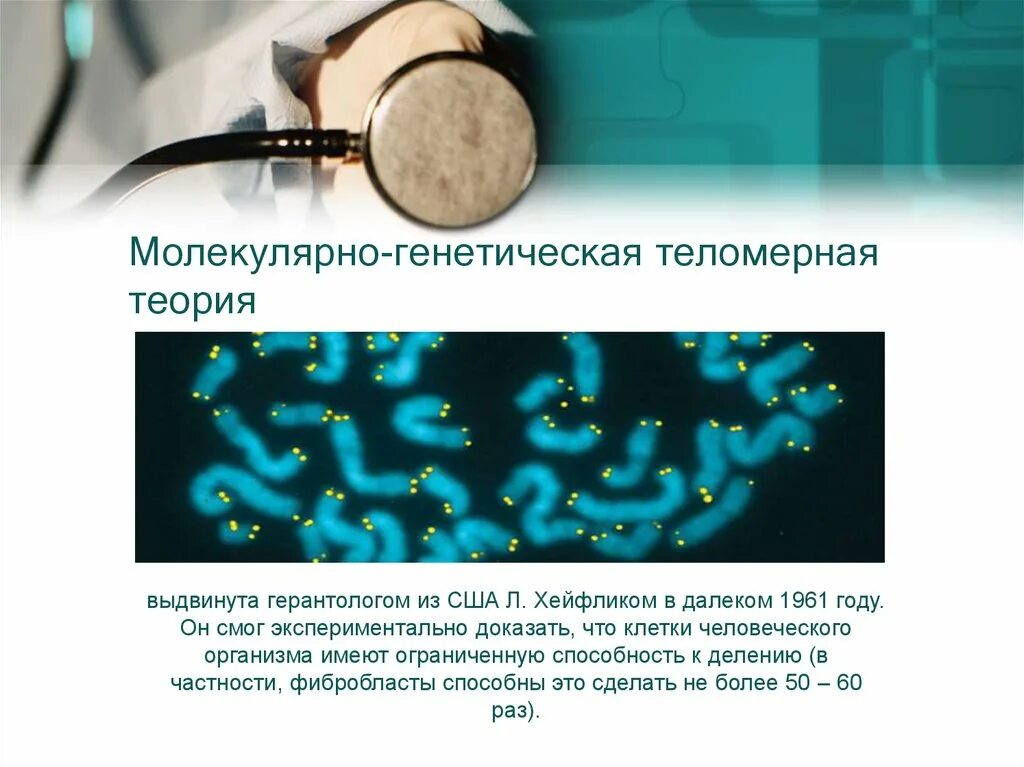 Биохимические доказательства эволюции. Молекулярно генетический теория. Молекулярно генетические доказательства. Теории старения генетическая теория. Молекулярно генетические механизмы старения.
