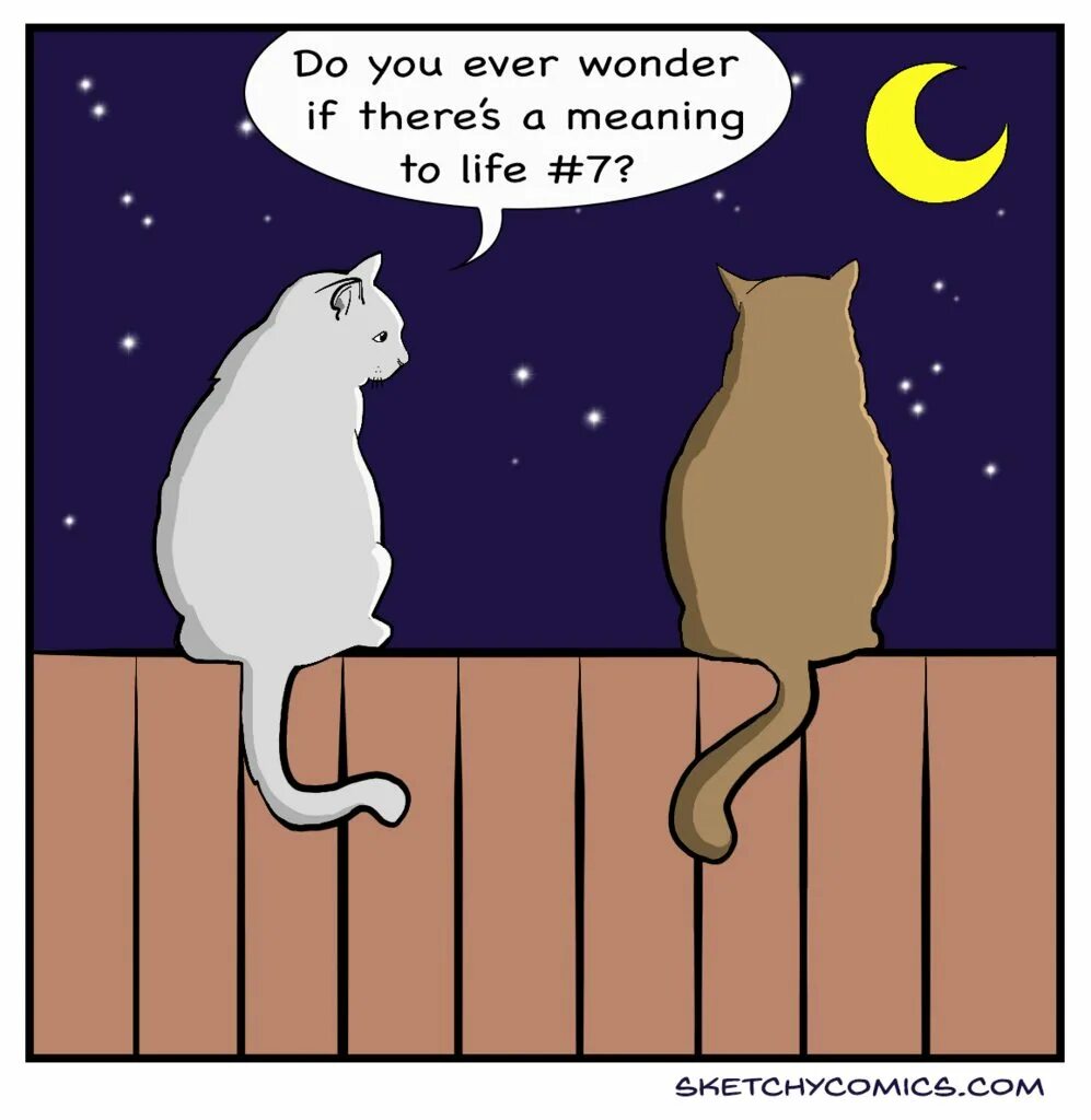 Ever wonder there s