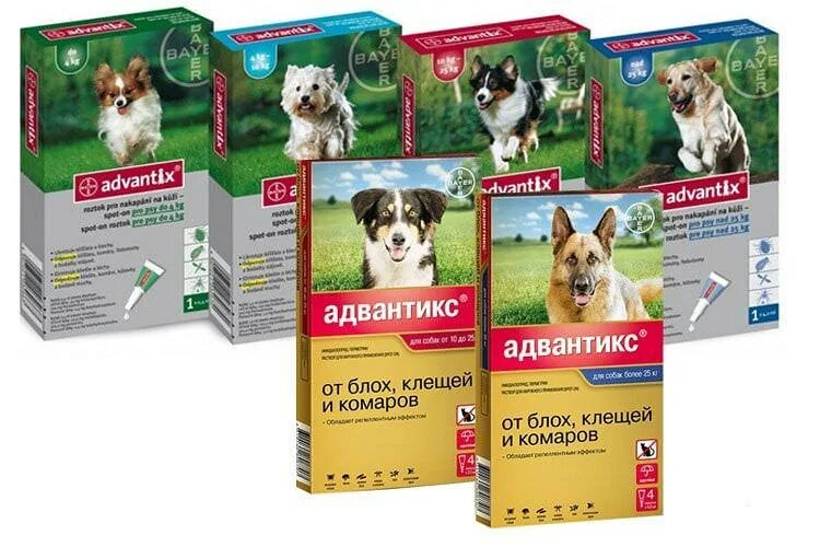 Адвантикс для собак до 4 кг. Капли от блох Адвантикс. Адвантикс капли для собак. Адвантикс от клещей для собак.