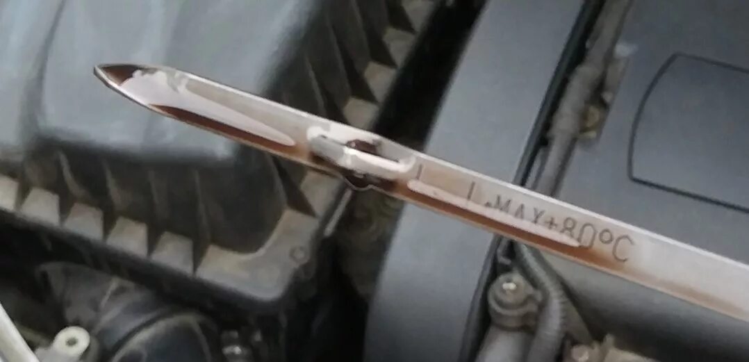 Уровень масла astra h. Opel astra h щуп коробки. щуп автомата opel astra h.