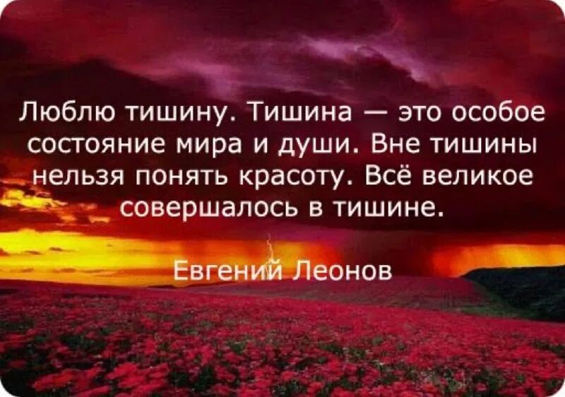 в ней всё, от радости и до печали. тишина была ему ответо. открытки со смыслом. тишина цитаты. тишина цитаты.