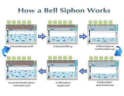 Working bell