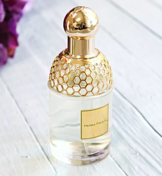 Духи Aqua Allegoria herba fresca. Аква аллегория Херба фреска. Guerlain Aqua Allegoria herba fresca реклама. Guerlain Aqua Allegoria herba fresca. Guerlain aqua allegoria herba