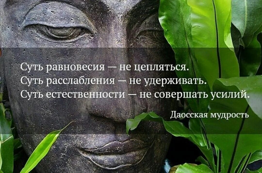 Мудрость ассоциируется с
