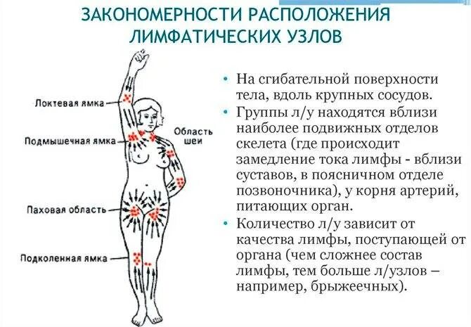 Советы по осмотру лимфатических узлов руки