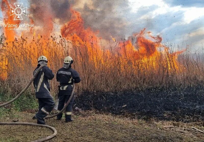 бытовые пожары. причинный пожар. черезвучайнаяситуация. причинный пожар. причины возникновения местных пожаров.