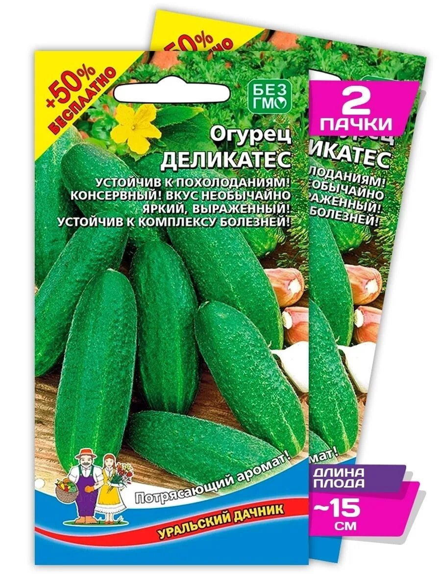 Огурец деликатес. Огурцы ранние для открытого грунта. Огурец деликатес. Огурец деликатес. Огурец деликатесный описание.