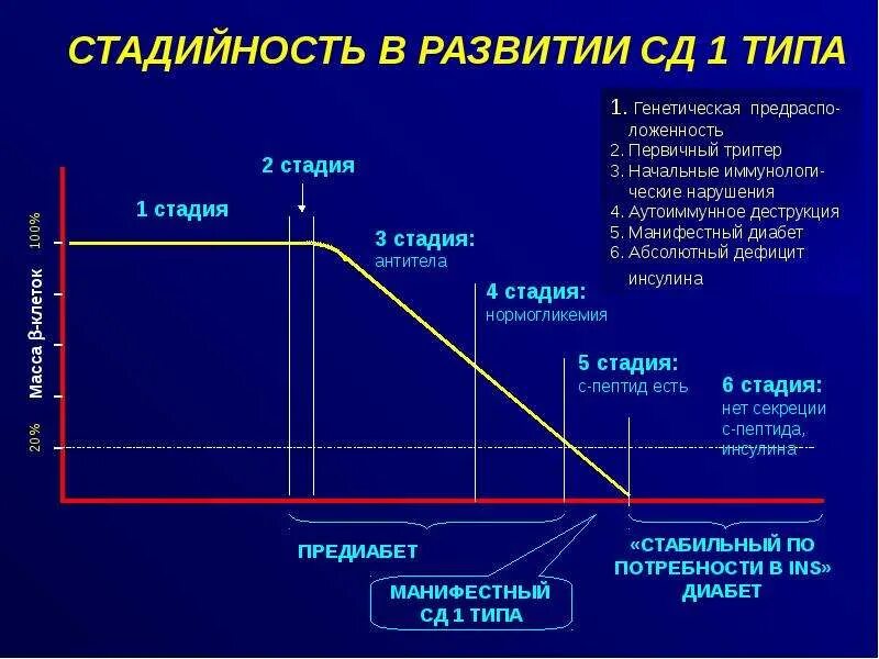 Сахарный диабет стадии. Клинические стадии сахарного диабета 1 типа. Стадии развития СД 1 типа. Стадии течения СД 1 типа. Стадии развития СД 2 типа.