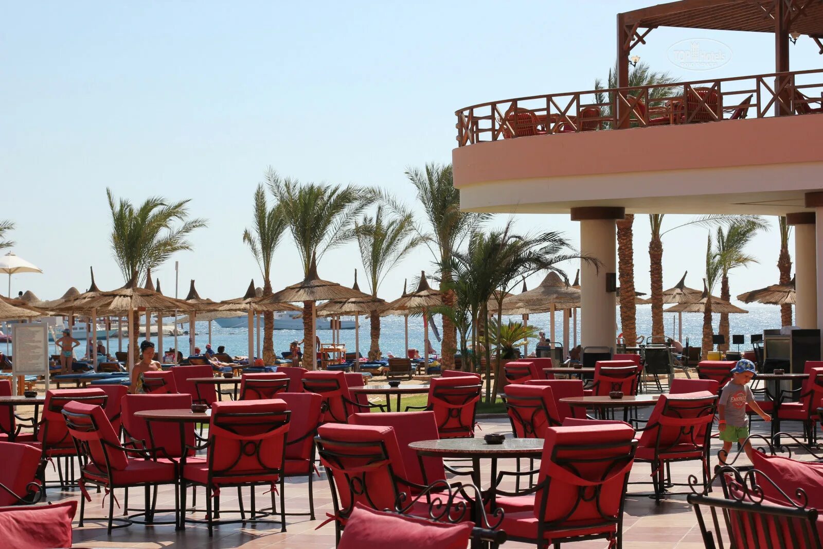 Отель Beach Albatros Resort 4. Хургада Beach Albatros Resort. Beach Albatros Resort Hurghada 4 Хургада. Отель в Египте Альбатрос Бич.