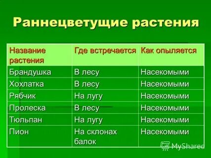 Каким именем назвать растения