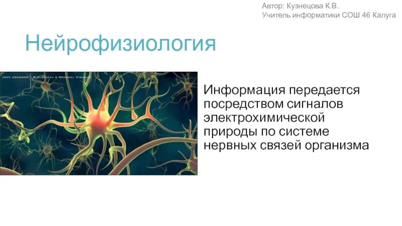 Нейрофизиология информация. Понятие информации в генетике. Нейрофизиологические механизмы поведения. Нейрофизиология в психологии. Нейрофизиология мозга человека.