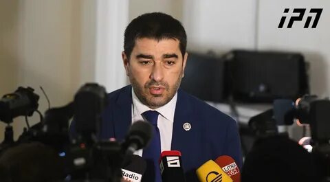 Спикер парламента грузии шалва папуашвили