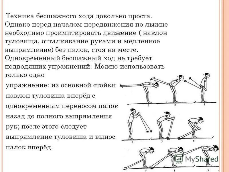 Основой всех лыжных ходов кроме бесшажного является. Основой всех лыжных ходов кроме бесшажного является
