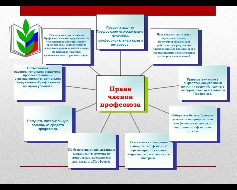 Задачи первичной профсоюзной организации работников образования. Основные направления деятельности профсоюза работников образования. Основные направления первичных профсоюзных организаций. Главные задачи профсоюзной организации. Приоритетные направления профсоюза