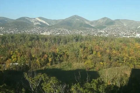 Роща в новороссийске