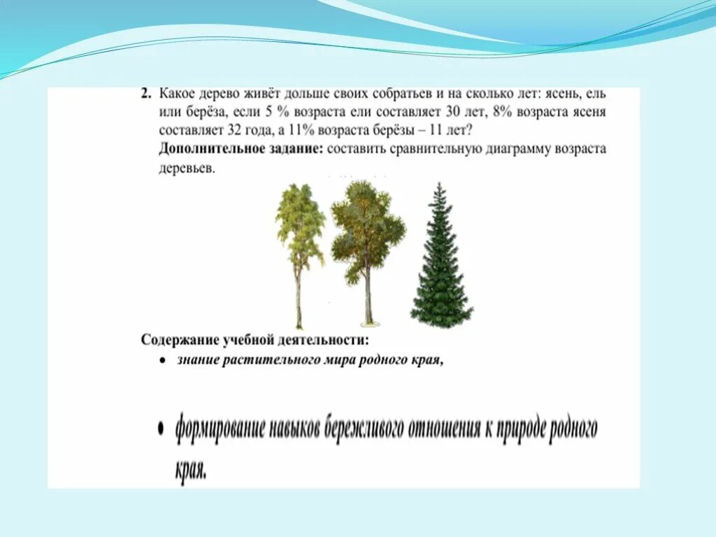 Береза живет дерево. Сколько лет живет язень. Какие деревья живут дольше всего. Ясень дерево сколько лет живет. Ясень Возраст дерева.