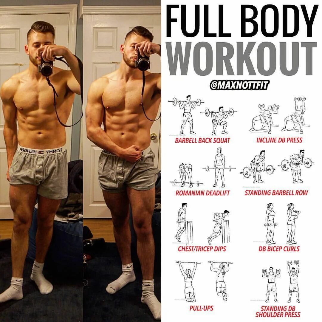 Тренировка фулбади для девушек в зале. Full body программа тренировок. тренировка full body для мужчин. фулл боди тренировка для мужчин. full body тренировка workout.