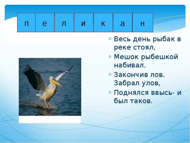 Купание сканворд. Кроссворд обитатели водоемов. Загадка весь день Рыбак в воде стоял. Кроссворд животный мир водоемов презентация. Загадка весь день Рыбак в воде стоял мешок рыбешкой набивал.