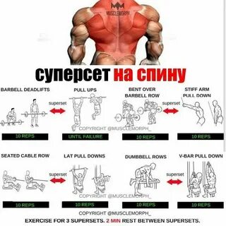 Упражнения на бицепс и спину в зале