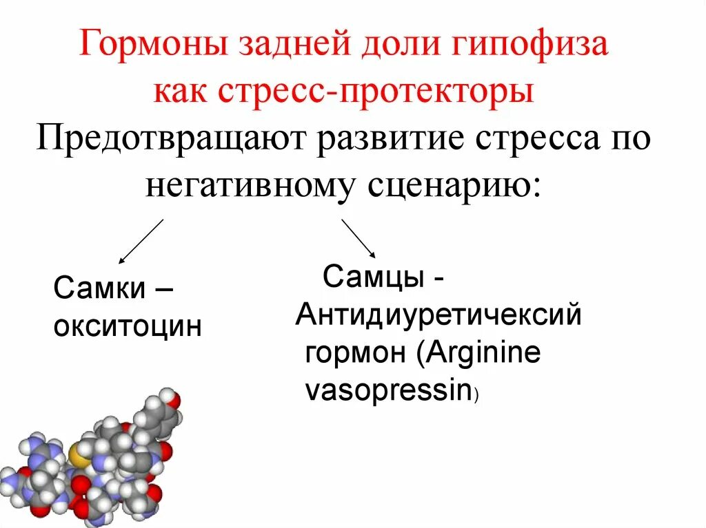 Гормон гипофиза вазопрессин. Гормоны задней доли. Эффекты гормонов задней доли гипофиза (окситоцина, АДГ).. Гормоны передней доли гипофиза химическая природа. Гормоны задней доли гипофиза химическая природа.