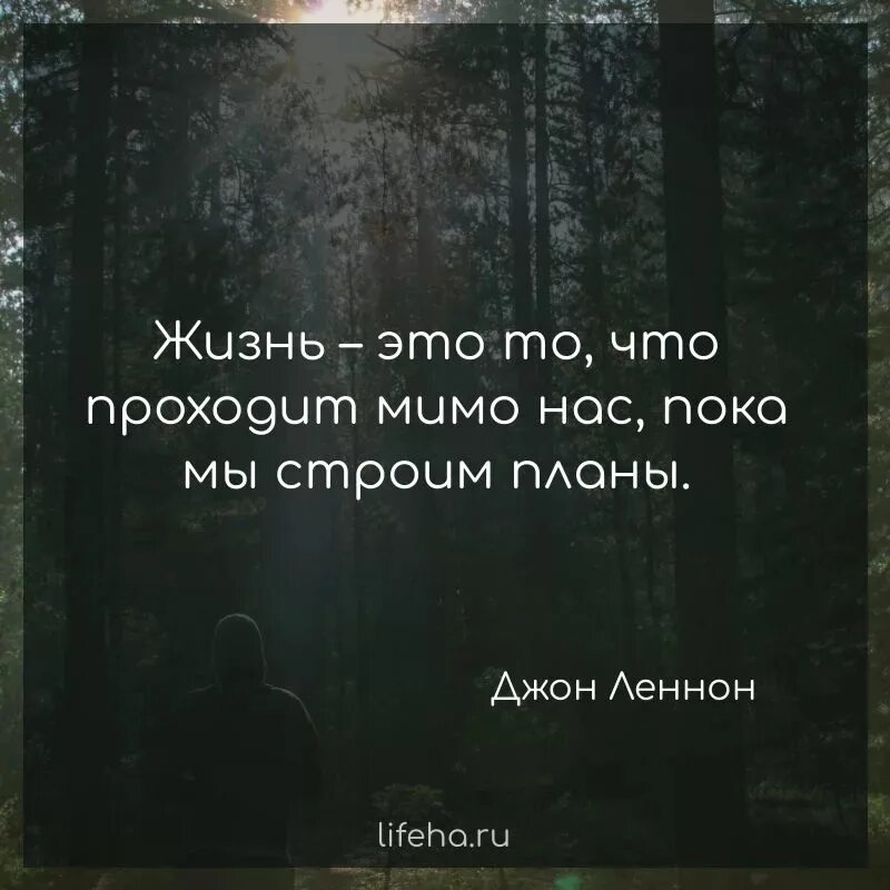 Мимо цитаты