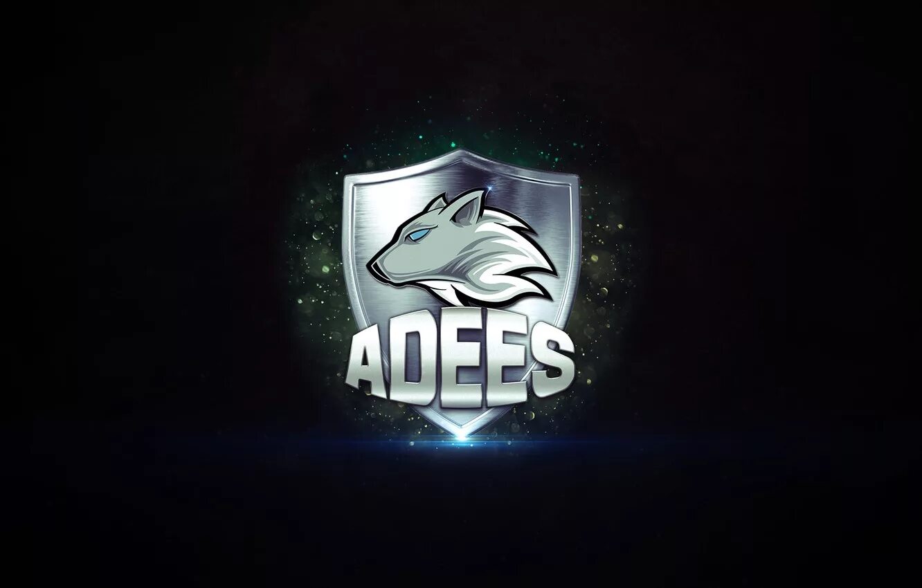 Team csgo