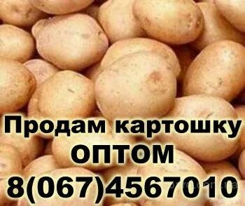 Объявление продаю картошку