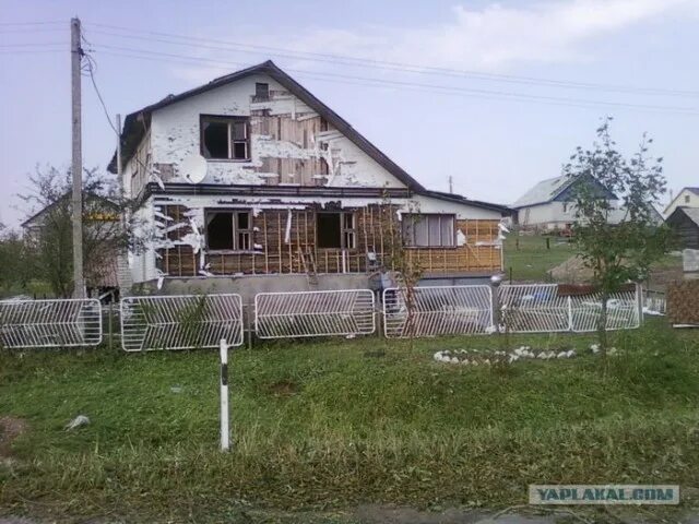 Прогноз мядель. Прогноз мядель
