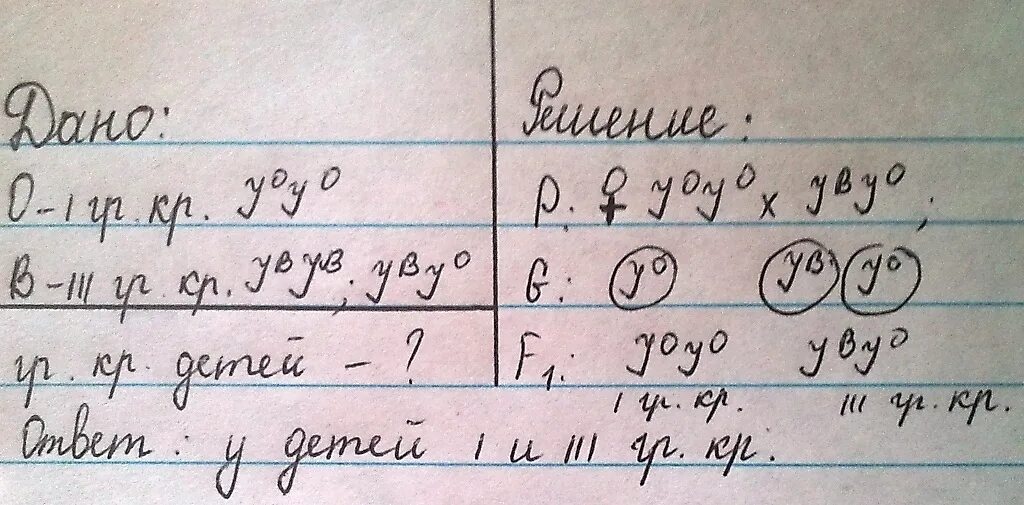 Вязовский группа крови 5 читать. 3- Группа крови женщина. Гетерозиготная женщина с 3 группой крови. Гетерозиготная женщина с 1 группой крови. Гетерозиготная женщина со 2 группой крови.