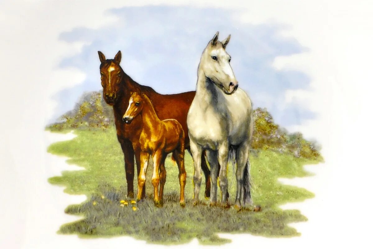 Лошадки 1 2 3. Три лошади. Лошади 3 штуки. «Лошади»1. Картинки на тему лошадь.
